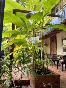 Maisons d'hotes Autour d'une Toile : photos des chambres