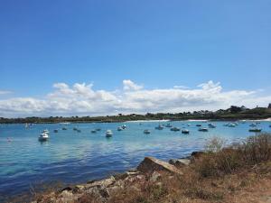Appartements Maison de vacances a 10 minutes des plages de Porspoder : photos des chambres