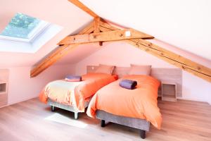 Appartements Ecrin - White Lake - Terrasse - Local velo et ski : photos des chambres