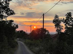 Villa Toni by BOTANICA Traditional stone house