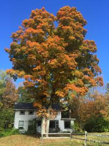 1894 Catskills Farmhouse Retreat