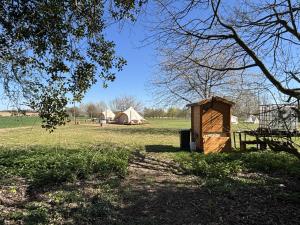 Glamping and Camping at The Orchard