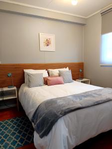 Departamento Carrera Pinto