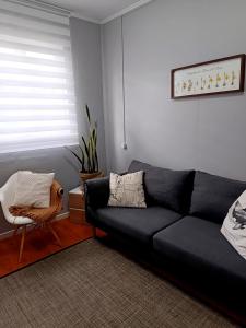 Departamento Carrera Pinto