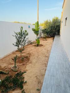 Dar Ayla à DJERBA houmt souk