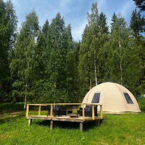 Family Glamping in a Forest