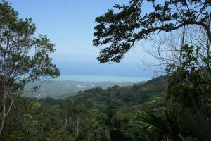 La Merecida, Nature Reserve, Coffee Cocoa Wellness