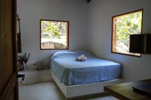 La Merecida, Nature Reserve, Coffee Cocoa Wellness