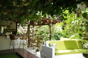 La Merecida, Nature Reserve, Coffee Cocoa Wellness