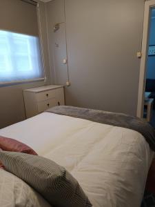 Departamento Carrera Pinto