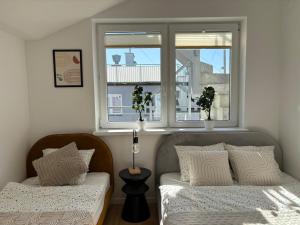 Dębina Lounge z tarasem na dachu