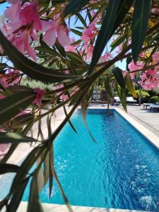 Guesthouse Le Mas de Cotignac - 4hvězdičkové hotely ve městě Cotignac