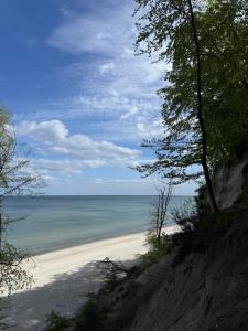 Przystań Ikara Gdynia