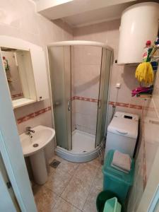 Stan za Exit Grbavici