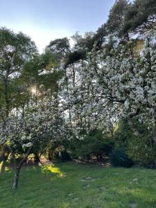 Tranquil home at Westerlands Farm, Sleeps 7, The South Downs