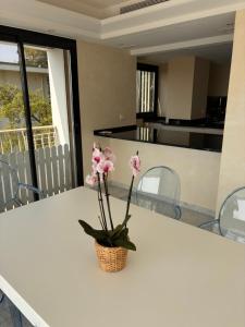 Appart exceptionnel terrasse mer