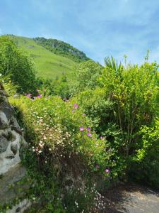 Maisons de vacances Au Gre des Saisons - 3 chambres : photos des chambres