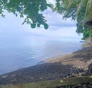 Bamboo BayBay Resort