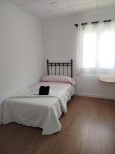 Apartamento EL COLAU en Oliva pueblo