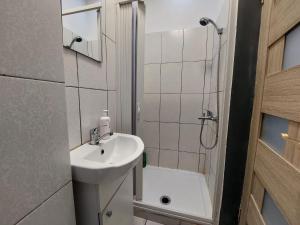 Biserica amzei studio