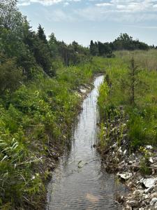 Anniksson Nature Private Tiny Home