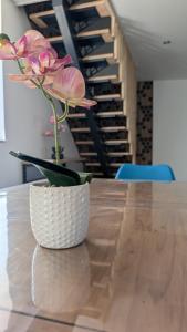 Les roches voisines "big rock"