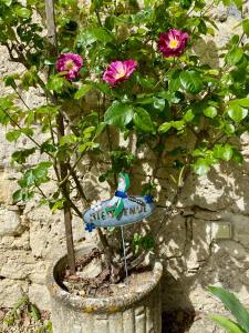 B&B / Chambres d'hotes Le chant des Loriots : photos des chambres