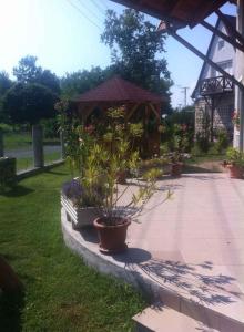 Apartment Balatonkeresztur - Balaton 19286