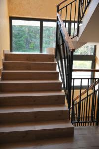 Green Hills Susic II