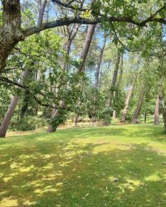 Appartements Maison Bishopswood : photos des chambres