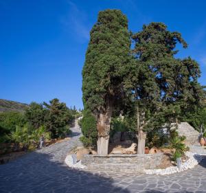 Paros Butterfly Villas Paros Greece