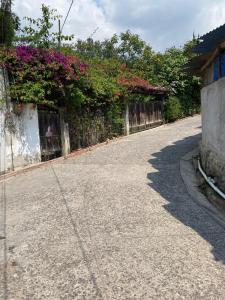 Beautiful Cabin in Casa Papagayo, San Marcos, Atitlán