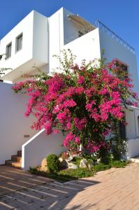 Melia Sol Art Studios Chios-Island Greece