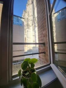 Appartements charmant studio avec vue cathedrale : photos des chambres