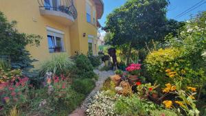 Apartment in Siofok - Balaton 20047