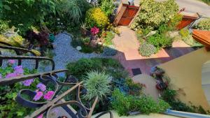 Apartment in Siofok - Balaton 20047