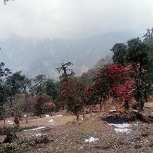 Himalayan Stay