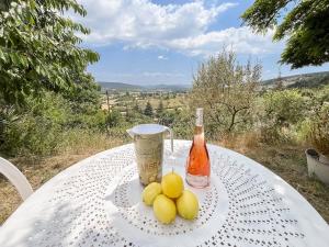 Appartements Les Terrasses de l-Adrech : photos des chambres