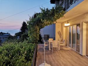 Vila Visni