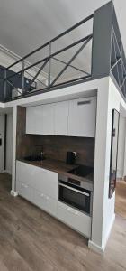 Telegrafas25-modern apartment in the center of Kaunas