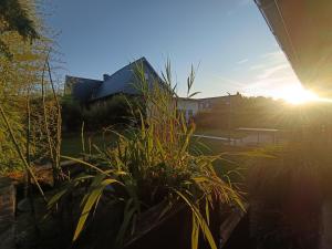 Gîte au calme en Normandie, Forêt de Lyons