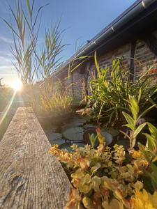 Gîte au calme en Normandie, Forêt de Lyons