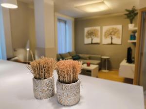 La Casica del Coso by Alogest