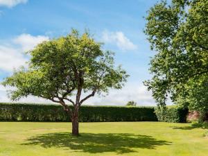 Coastal Retreat in Bjarrebygden
