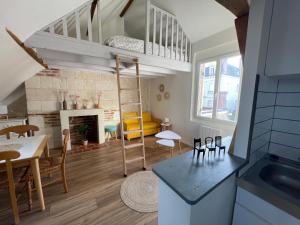Appartements Le Cocon du Rempart Studio de charme avec mezzanine TOURS centre : photos des chambres
