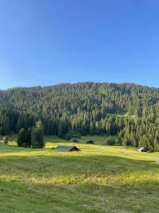 Peters Hütte in Hasliberg Bidmi