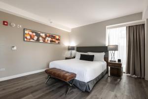 Godfrey Hotel Chicago