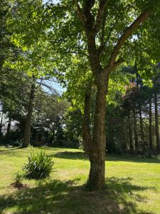 B&B / Chambres d'hotes Reve de Clarte : photos des chambres