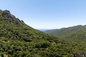 Maisons de vacances U Tadu - Maison de vacances en pierre avec vue et nature en Corse du Sud : photos des chambres