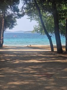 Mobilna kućica Tara